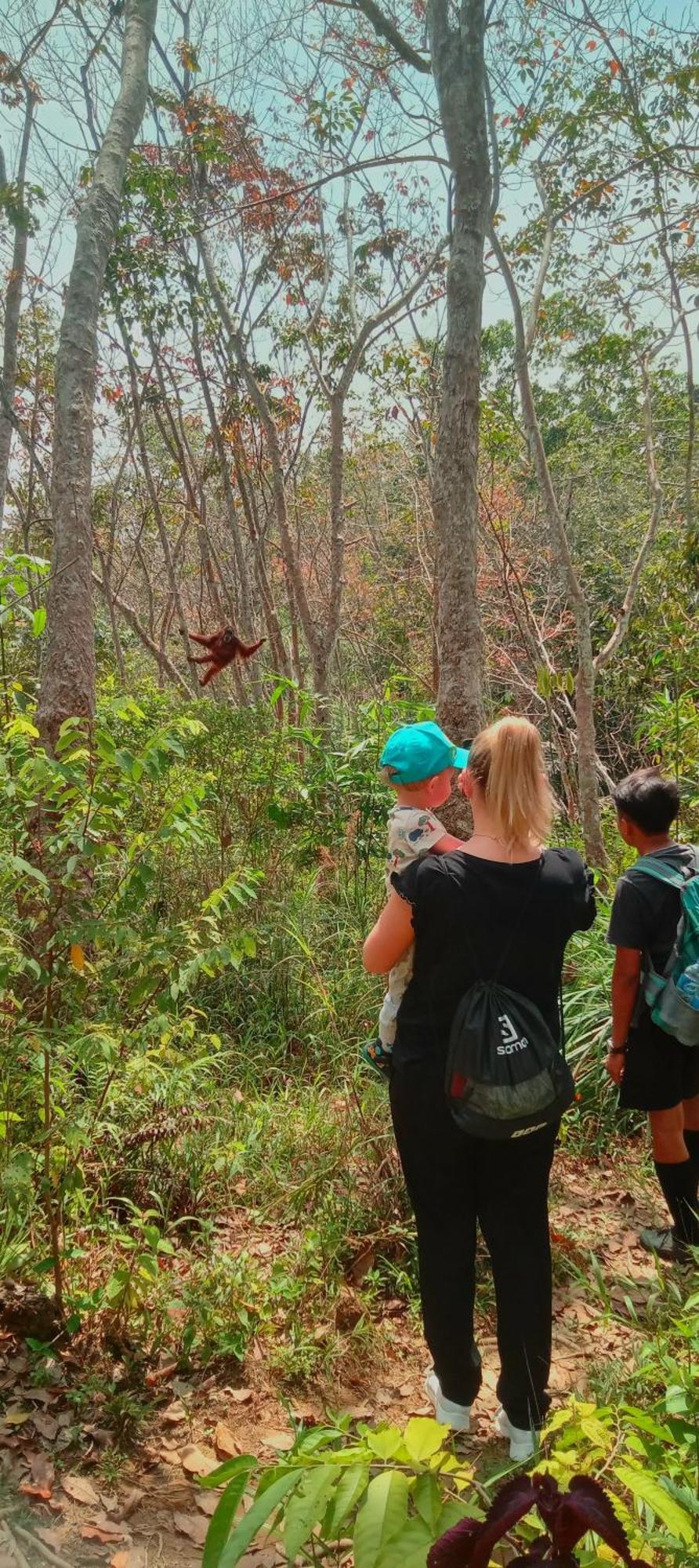 Eco Trekking Lodge, Bar & Jungle Tour'S Bukit Lawang Exterior foto