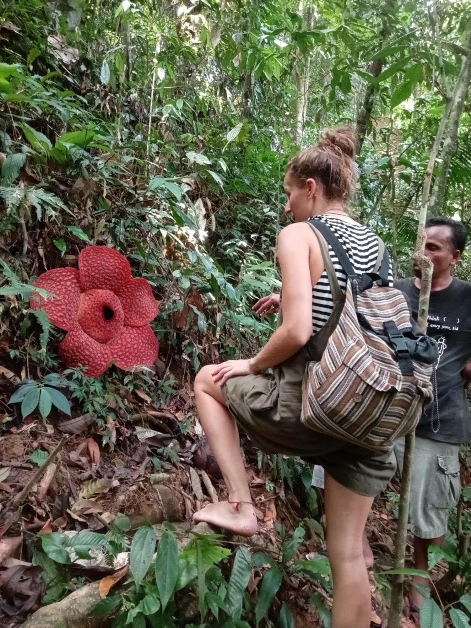 Eco Trekking Lodge, Bar & Jungle Tour'S Bukit Lawang Exterior foto